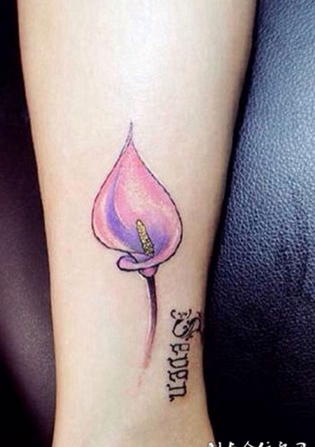 小腿上的粉色马蹄莲纹身图案