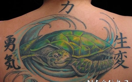 后背上的乌龟纹身图案