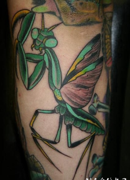 大臂上的螳螂纹身图案