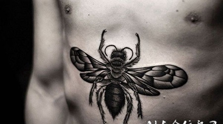 腹部上的苍蝇纹身图案