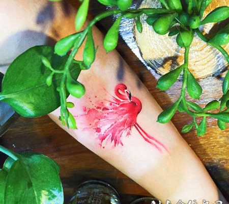 浴火重生，手臂火烈鸟彩绘纹身
