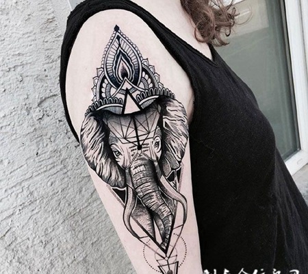 温顺巨兽，手臂大象个性纹身