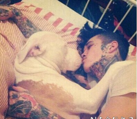 帅气花臂美男与宠物