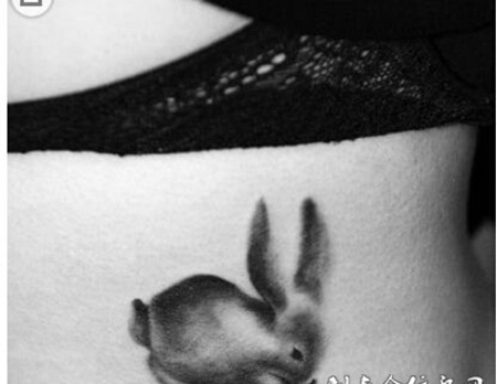 黑白小动物纹身图
