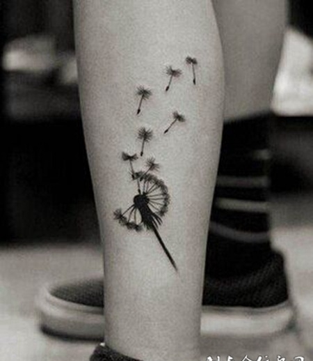 优美蒲公英黑白纹身
