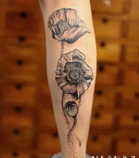 小腿经典黑色罂粟花纹身图片