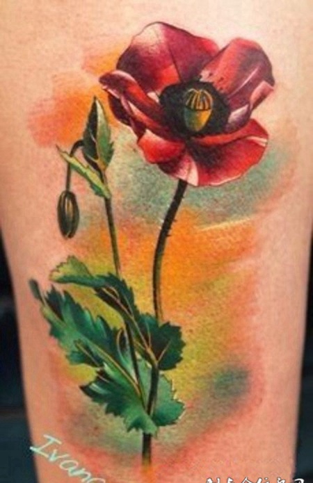 脚部潮流罂粟花彩绘纹身图案欣赏