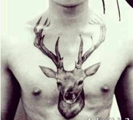 胸部栩栩如生鹿头半甲纹身