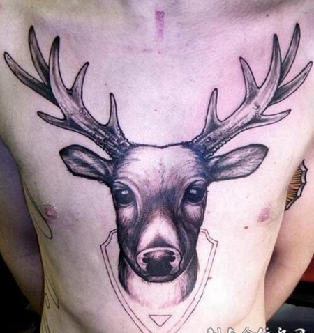 优雅麋鹿胸前纹身图
