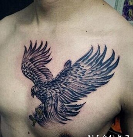 天空之王胸部雄鹰霸气纹身