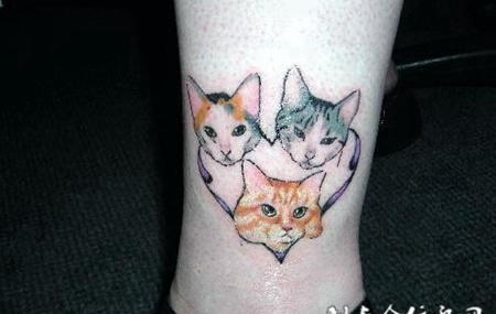 纹身猫咪图案个性图片