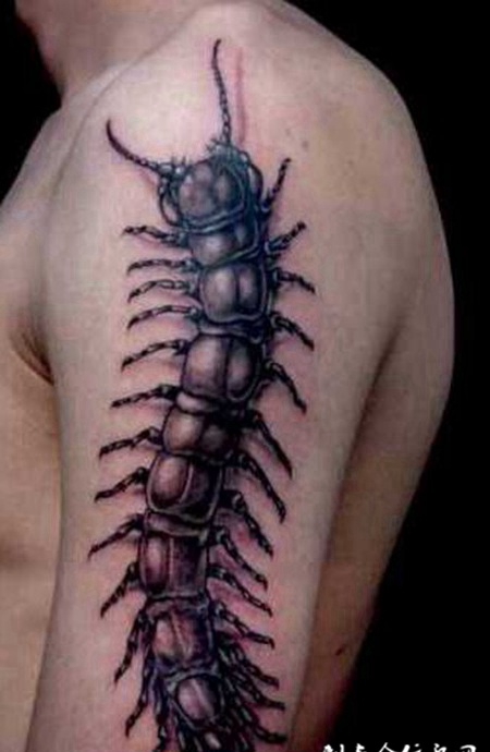 大臂个性蜈蚣纹身图片