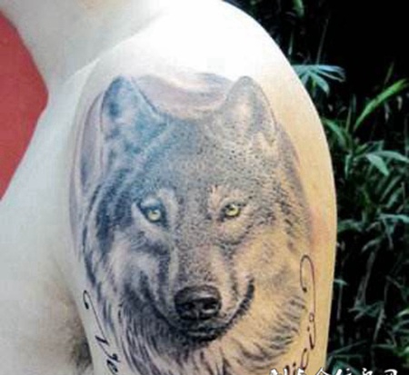 个性男士经典狼头纹身图案