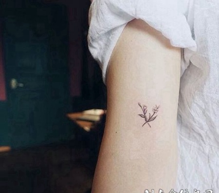 手臂小草纹身图案