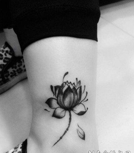 黑莲花纹身图案素材图集