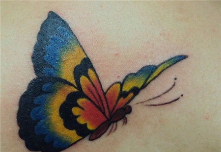 胸前的彩色蝴蝶纹身图案