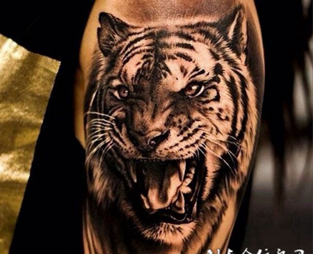 手臂凶猛的老虎纹身图片