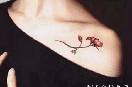 女生锁骨木棉花纹身图片