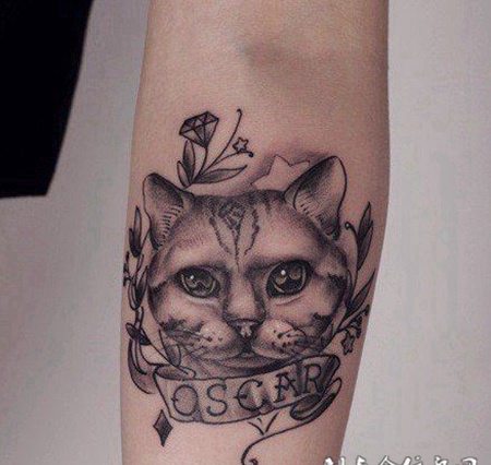 手臂可爱的小猫丝带纹身图案