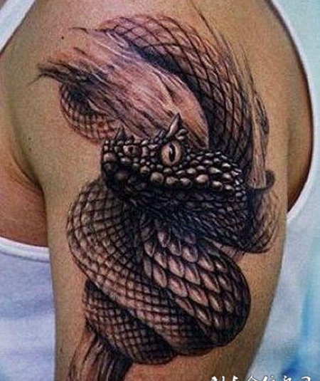 纹身蛇图案高清精选素材