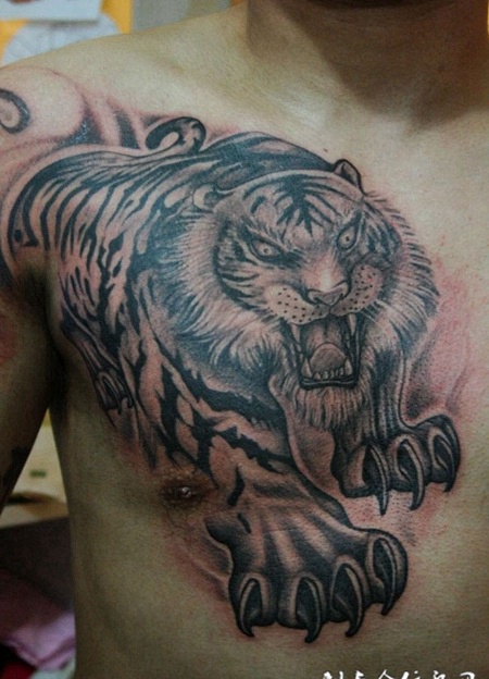 手臂肩膀老虎纹身图案大全
