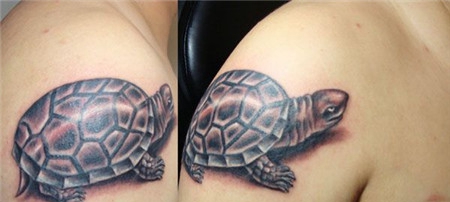 手臂上的小乌龟纹身图案