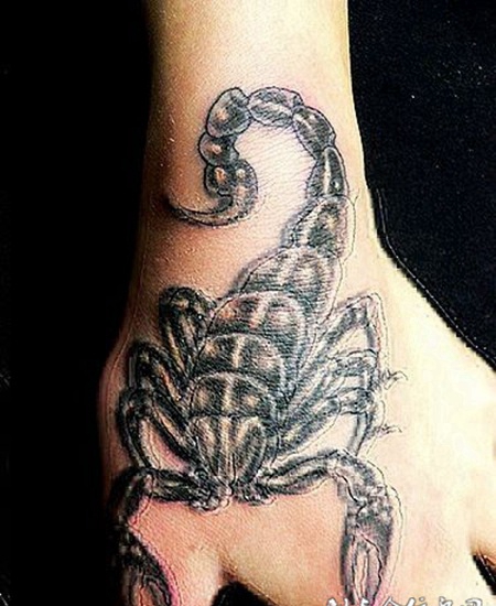 蝎子纹身素材图片大全推荐