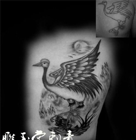 男生前胸个性的仙鹤纹身图案