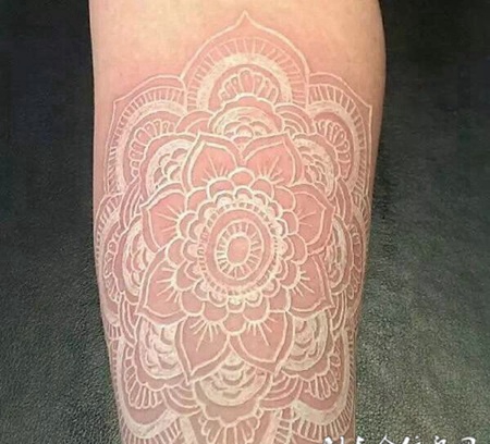 鸽子血手臂纹身精美花纹图案作品