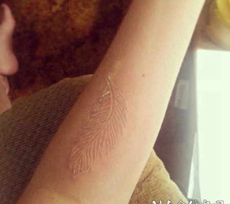 手臂上羽毛图案鸽子血纹身作品