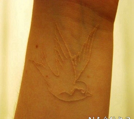 手腕上燕子卡通图案鸽子血纹身