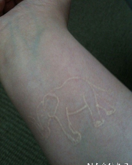 手腕处的大象图案鸽子血纹身作品