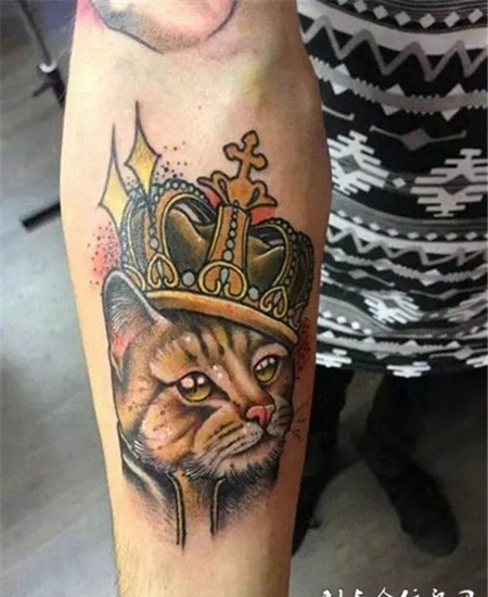 猫咪彩色逼真图案个性纹身大全