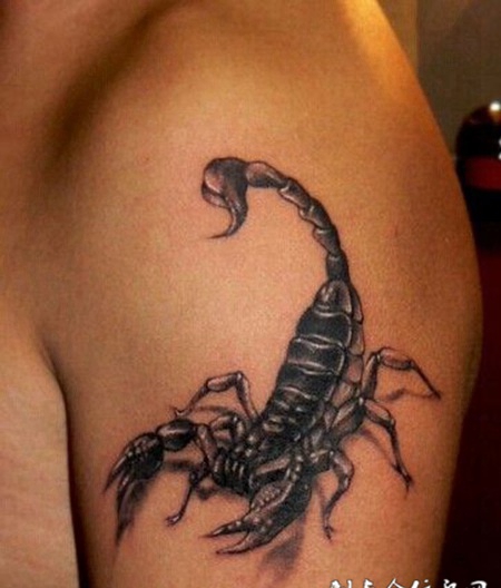 手臂蝎子纹身逼真图案刺青个性十足