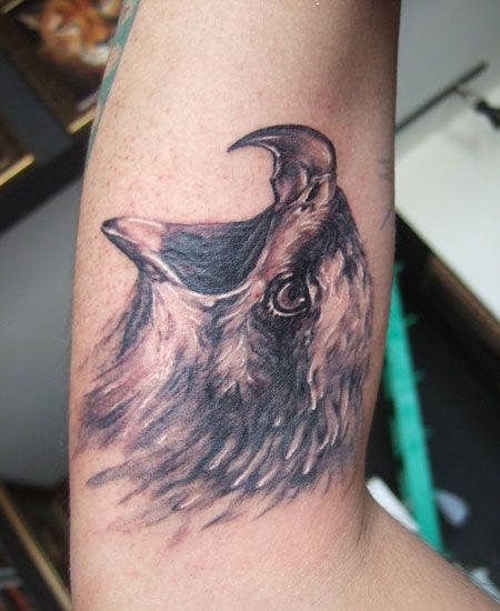 手臂老鹰头纹身图案
