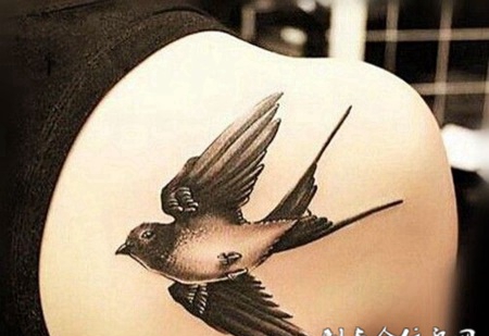 美女背部小鸟纹身图案大全