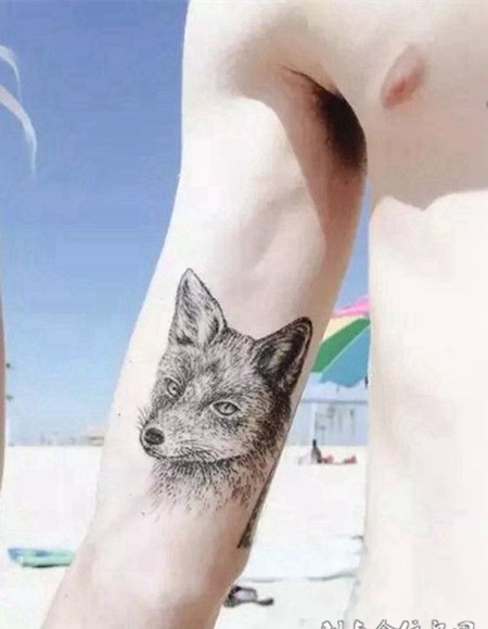 欧美手臂纹身图案小清新动物