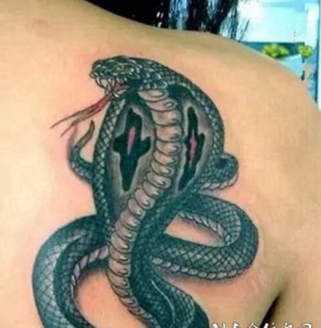 D蛇纹身图案大全