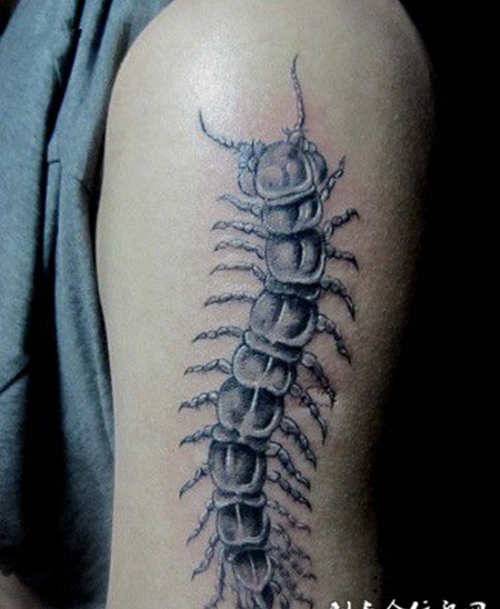 蜈蚣纹身图案个性图片