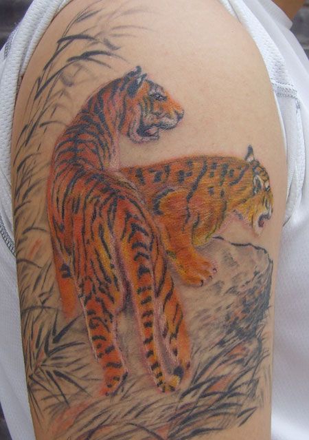 手臂工笔画两只老虎纹身图案