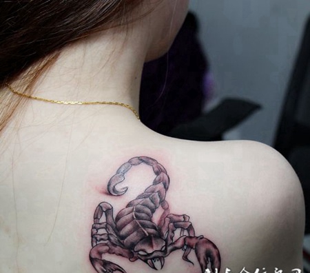 纹身背部图案蝎子图片