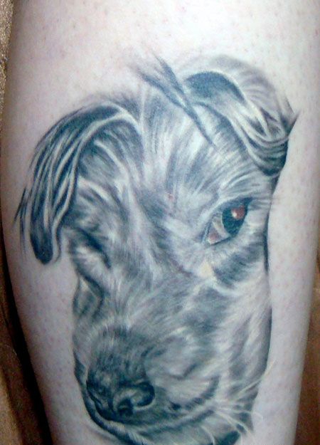 手臂小狗纹身图案