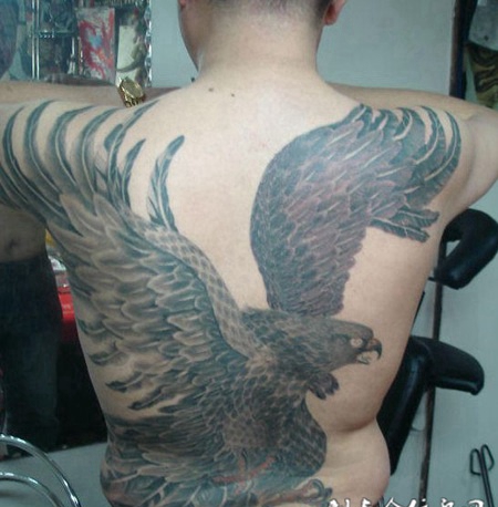 满背鹰纹身图帅气大全