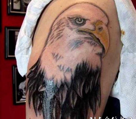 老鹰手臂纹身图案精选图片