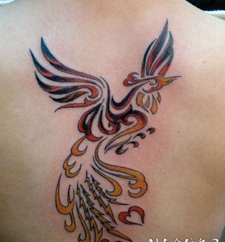 凤凰红色尾巴纹身图片素材