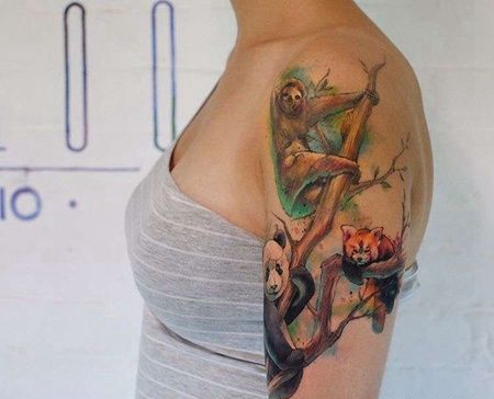 水彩大臂树懒熊猫浣熊纹身图案