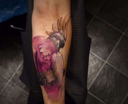 水彩小臂鹦鹉纹身图案