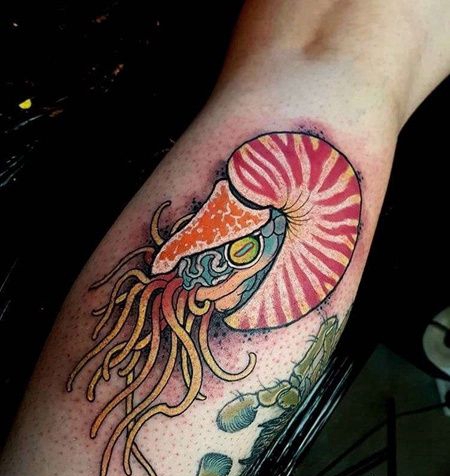 New School小腿鹦鹉螺纹身图案