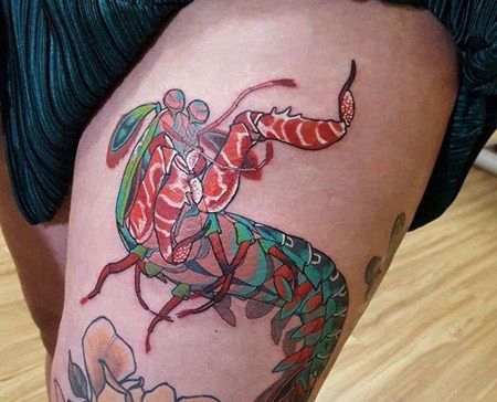 New School大腿皮皮虾纹身图案