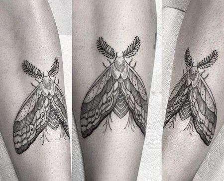 线条小腿蛾子纹身图案